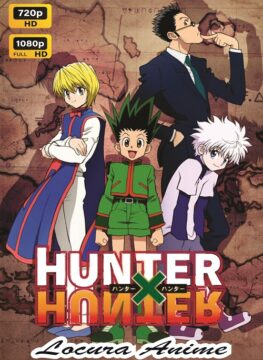 Descargar Hunter x Hunter 2011